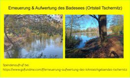 Spendenaufruf bei: https://www.gofundme.com/f/erneuerung-aufwertung-des-lohnteichgelaendes-tschernitz